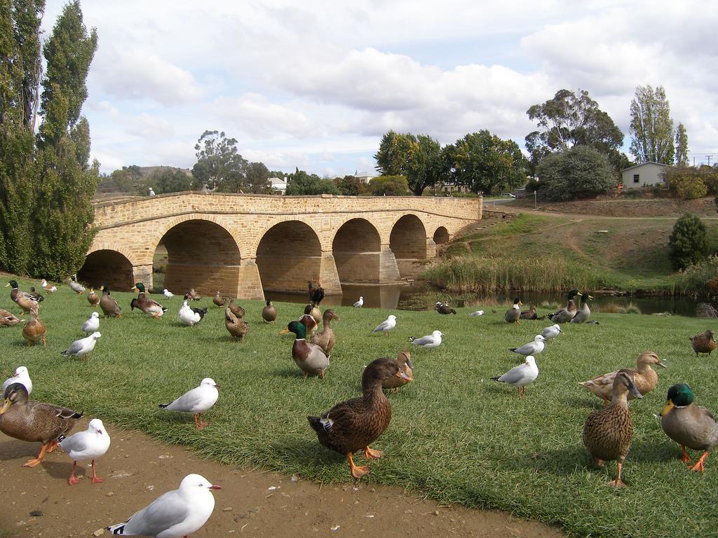 Bridge Cottages Sargeants & Armoury Cottages 1823 - History & Charm Richmond Buitenkant foto